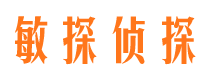 罗定市侦探调查公司